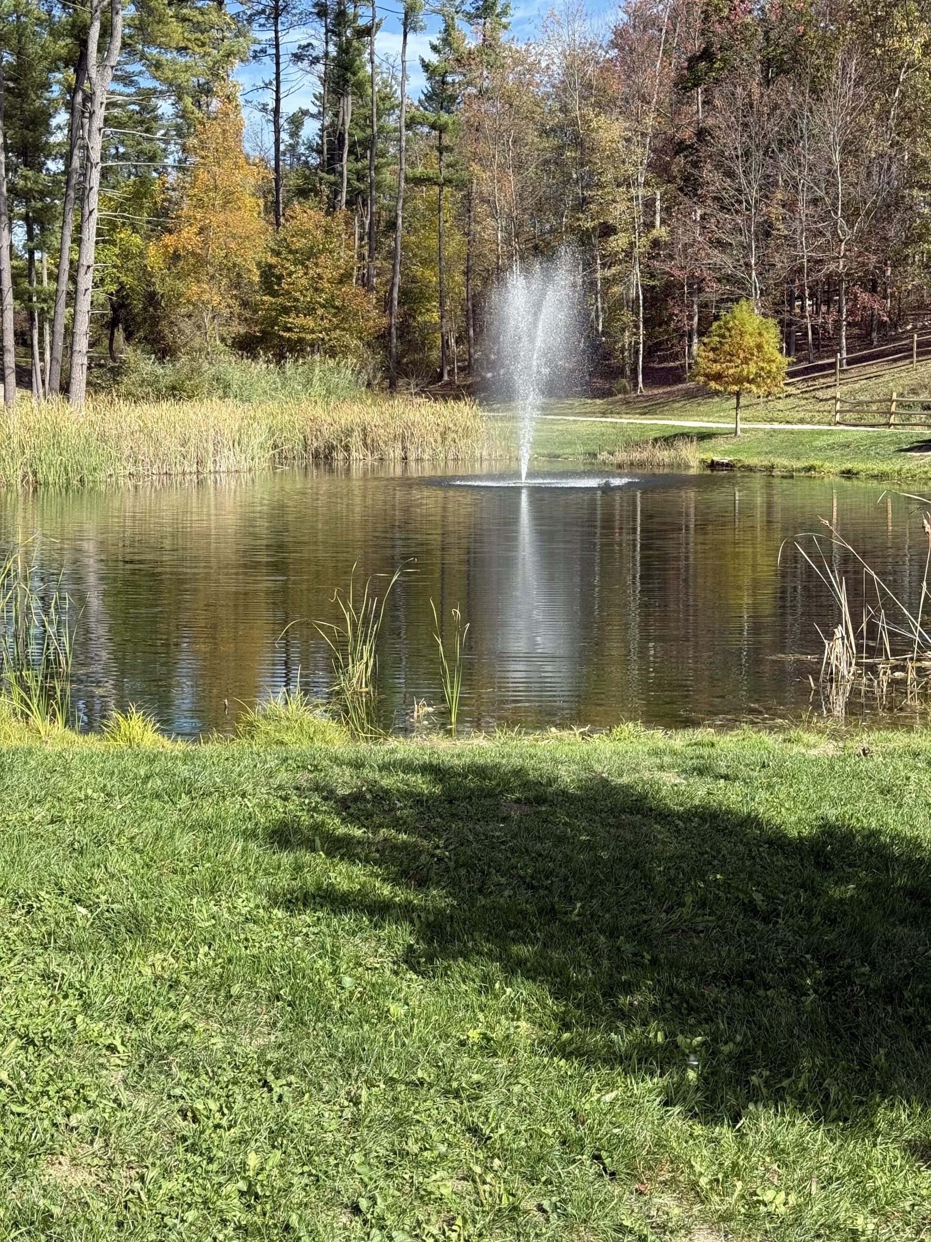 Moon Township trail and fountain – local scenery – Realtor Dave Grenick